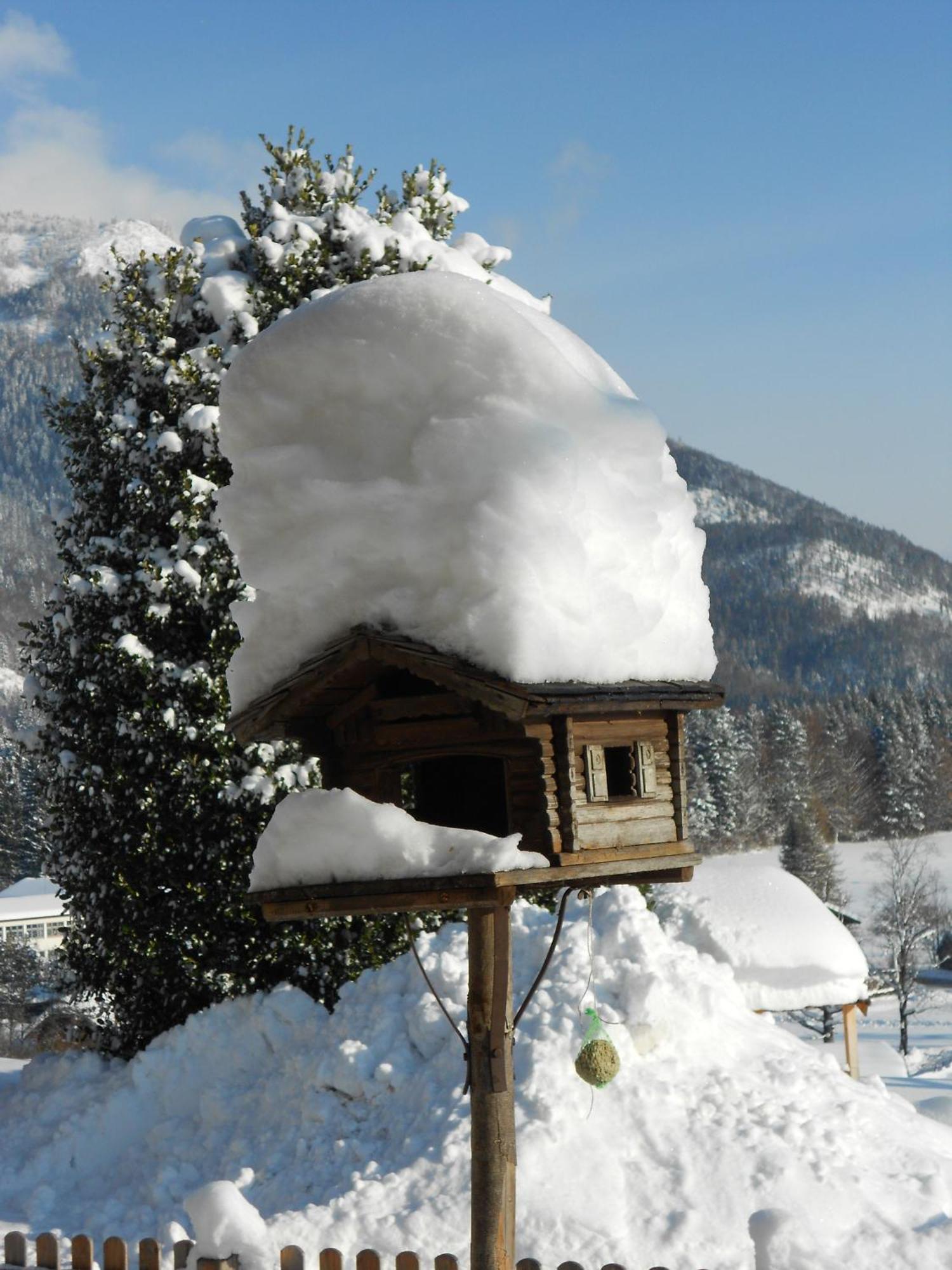 Paulbauer Villa Sankt Wolfgang im Salzkammergut ภายนอก รูปภาพ