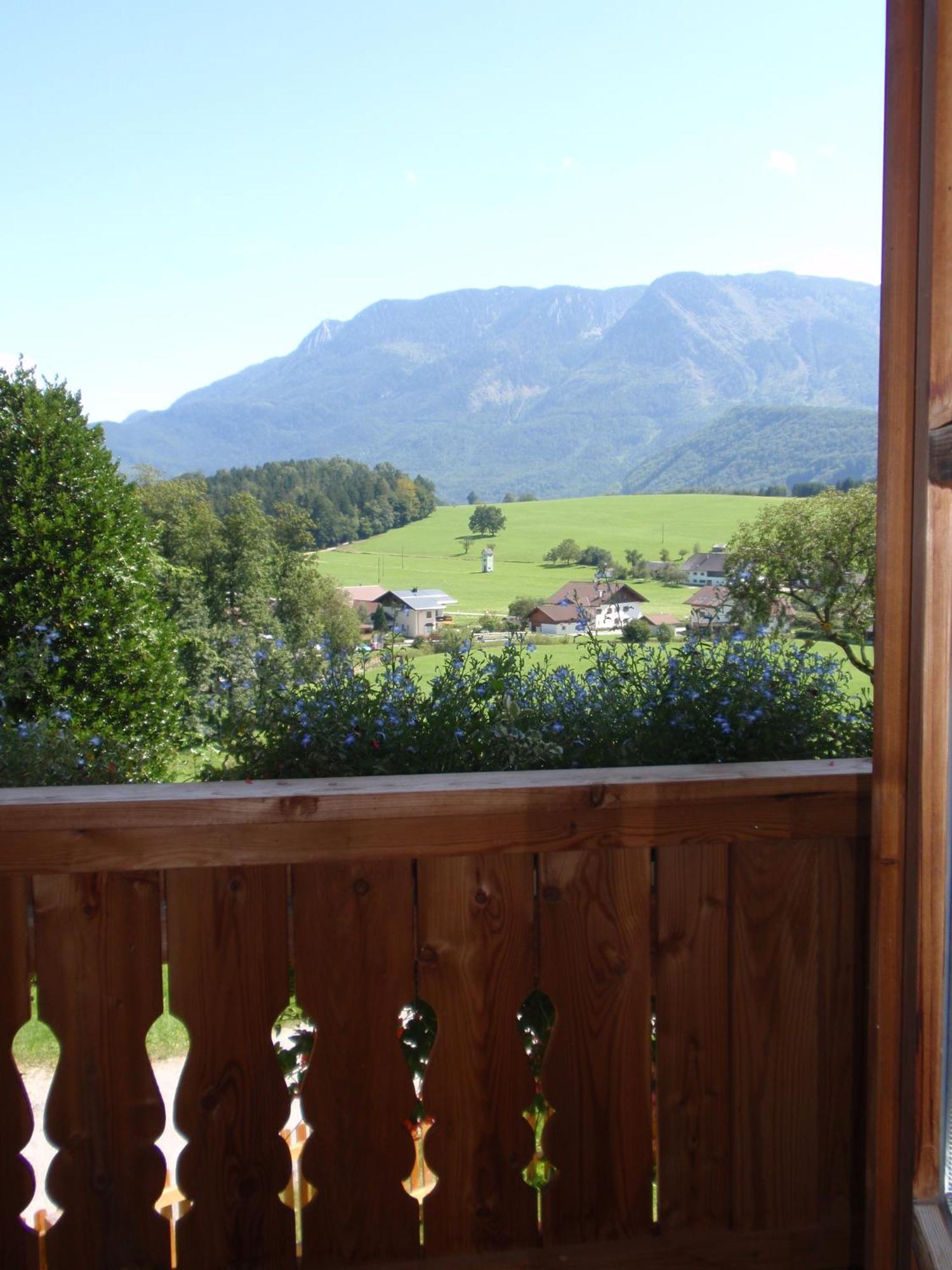 Paulbauer Villa Sankt Wolfgang im Salzkammergut ภายนอก รูปภาพ
