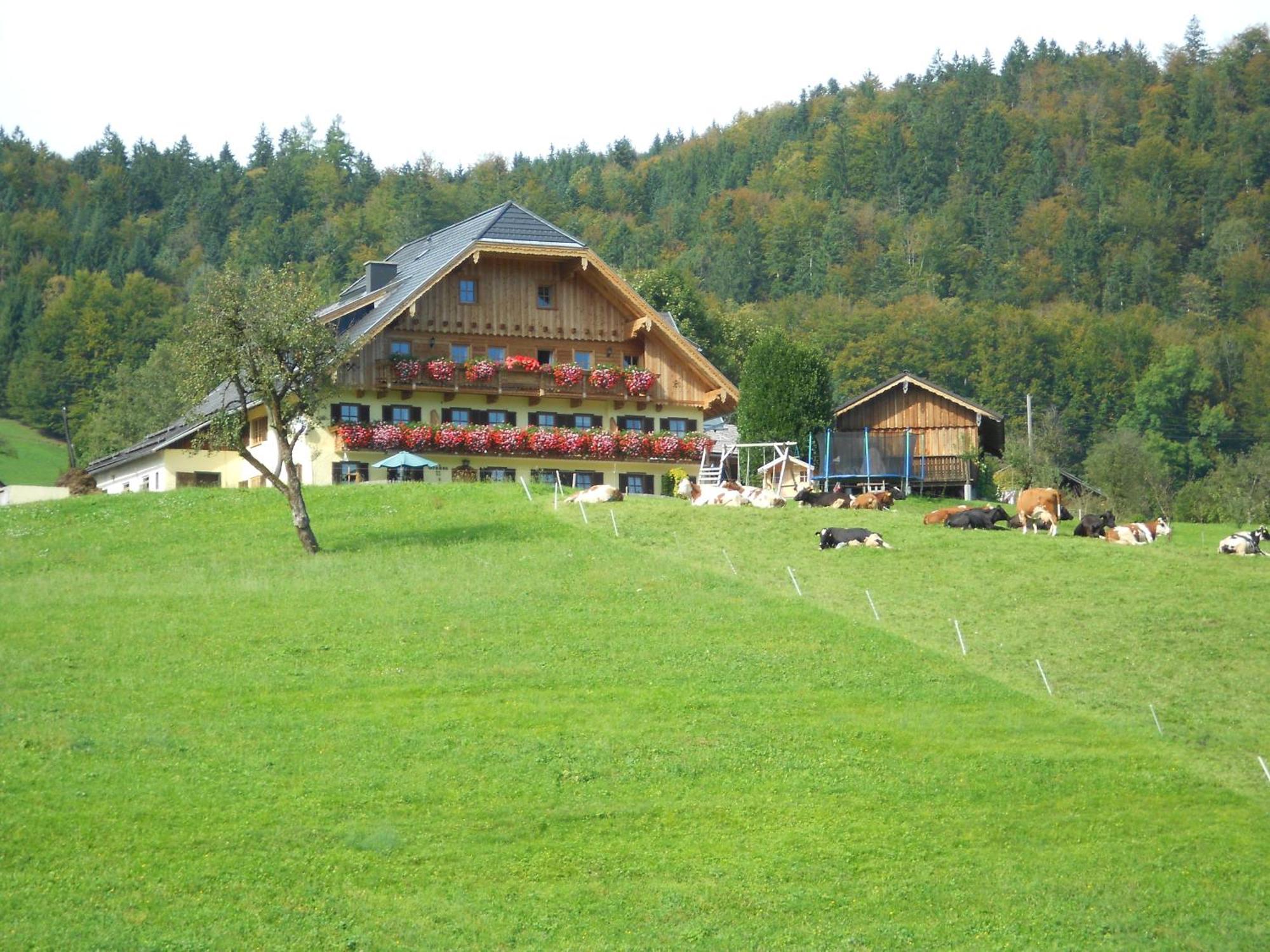 Paulbauer Villa Sankt Wolfgang im Salzkammergut ภายนอก รูปภาพ