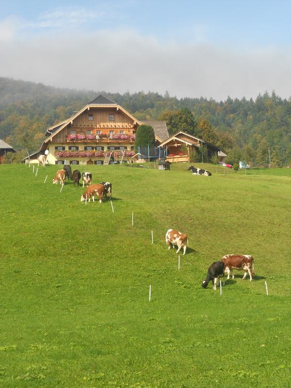 Paulbauer Villa Sankt Wolfgang im Salzkammergut ภายนอก รูปภาพ