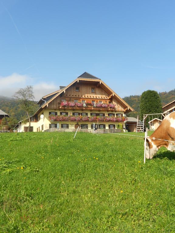 Paulbauer Villa Sankt Wolfgang im Salzkammergut ภายนอก รูปภาพ
